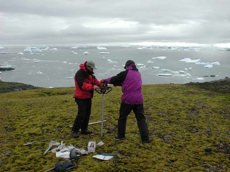 Illustration for article titled Scientists Revive Moss That Was Encased In Ice For 1,500 Years